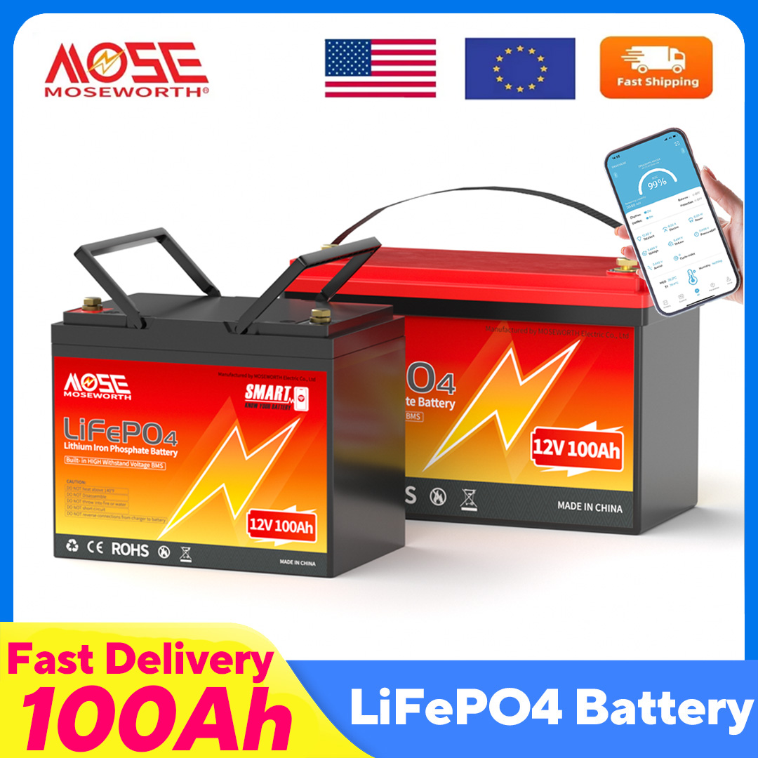 Lifepo4 12V 100Ah Bms Bluetooth - MOSEWORTH LiFePO4 12V 100Ah Pil Paketi